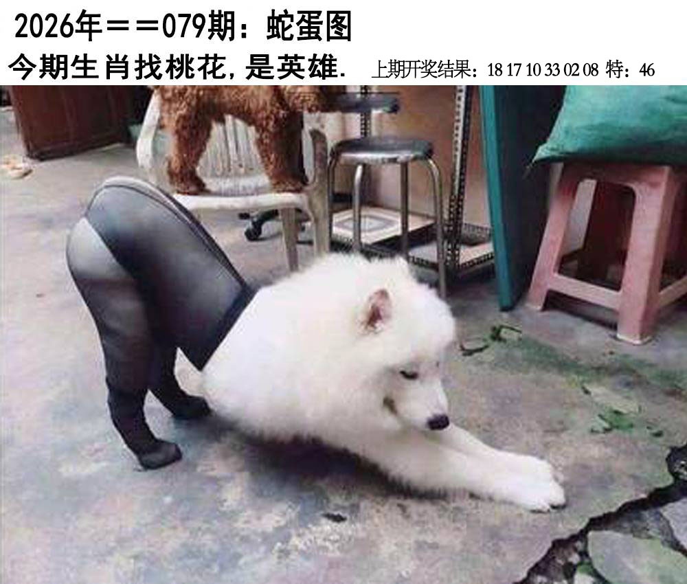 079期另版蛇蛋图[图]